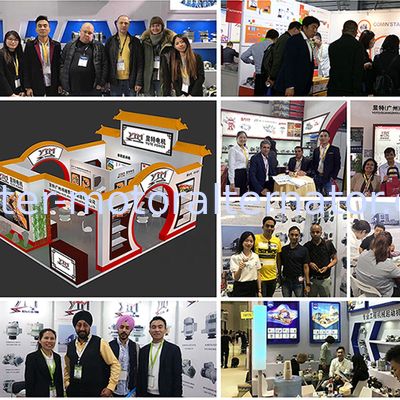 OEM FT018082NL Alternator Voltage Regulator for 4D94/R60-7 12V Auto Motor Parts with ISO9001/CE/TS16949 Certification