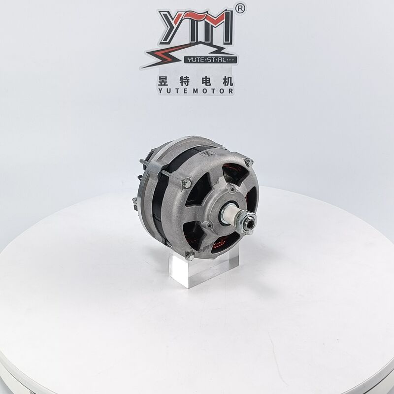 VA493 12V 80A ALTERNATOR 01180661 01182107 데우츠 FL1011F 중량 교체용