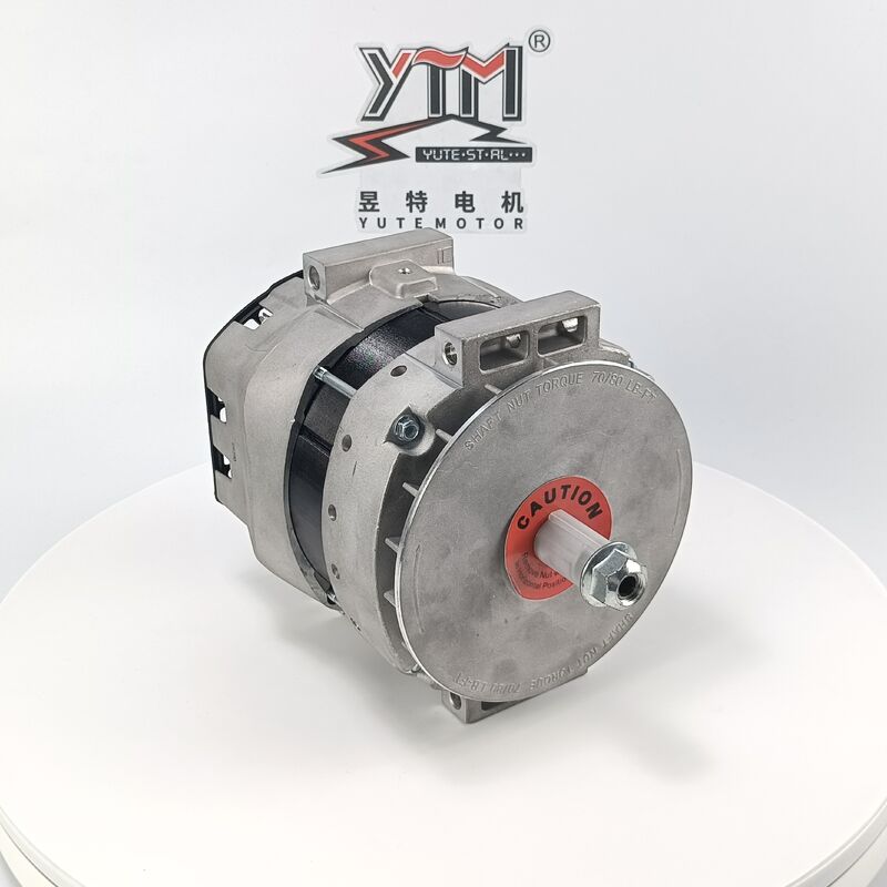 YTM 24V 250A DR290 대전기 OE 3643862 61006082 8600453 7321N 중량 교체용