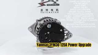Yanmar 3YM30 12899077250 639773 SG10S078 ALV4843 용 VA515 발전기 12V 125A 6PK 소개